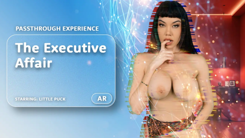 The Executive Affair [Passthrough]